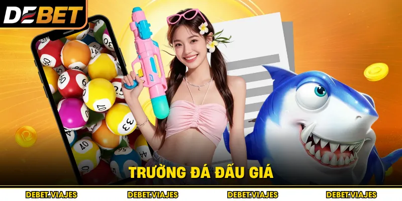 Trường đá đấu giá 